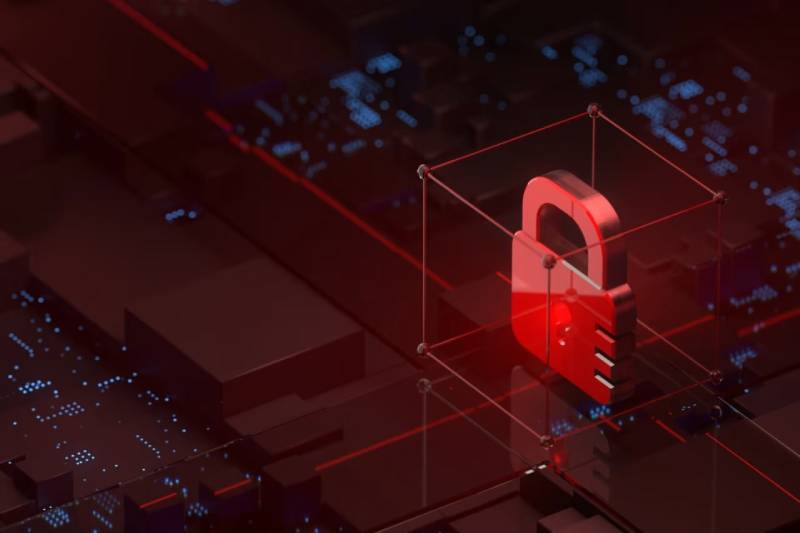 信创浪潮下的协同进阶：新洲区软件开发公司助力ERP与多系统信创适配